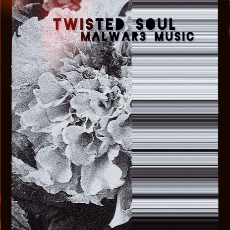 Twisted Soul | Boomplay Music