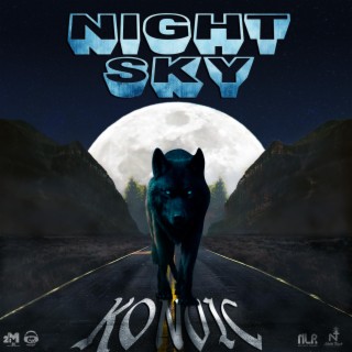 Night Sky lyrics | Boomplay Music