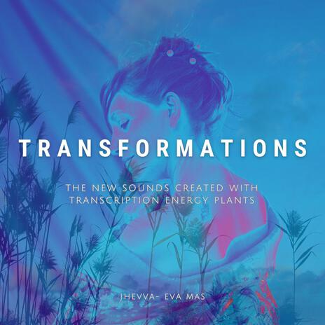 TRANSFORMATIONS | Boomplay Music