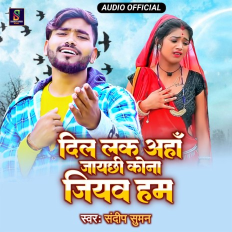 Dil Lak Aaha Jay Chhi Kona Jiyab Ham (maithili) | Boomplay Music