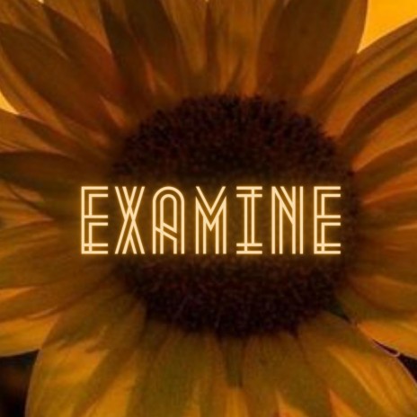 Examine | Boomplay Music