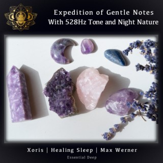 Expedition of Gentle Notes with 528Hz Tone and Night Nature