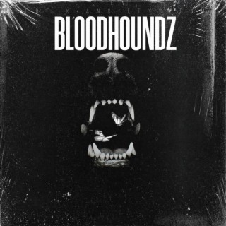 Bloodhoundz