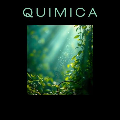 QUIMICA (Beat)