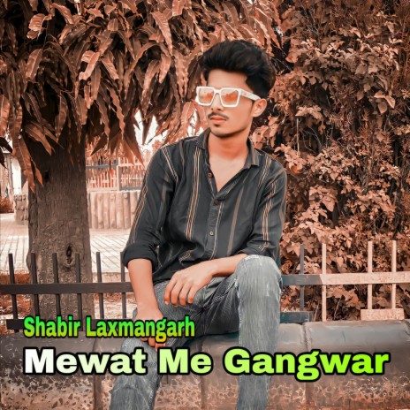 Mewat Me Gangwar | Boomplay Music