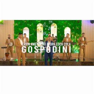 GOSPODINI