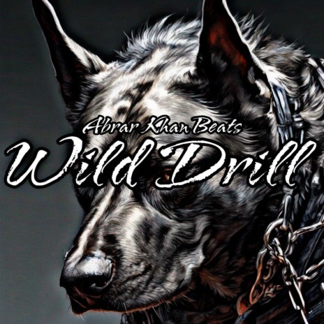 Wild Drill | Hard Drill Beat | Boomplay Music