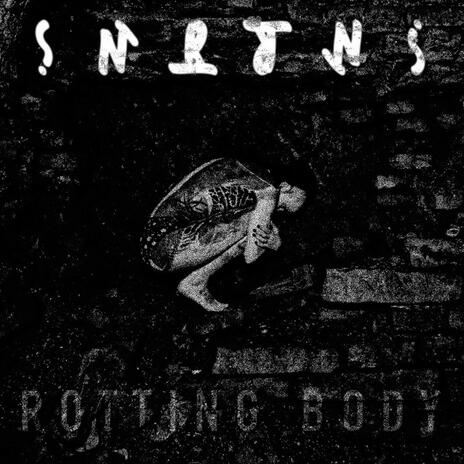 Rotting Body | Boomplay Music