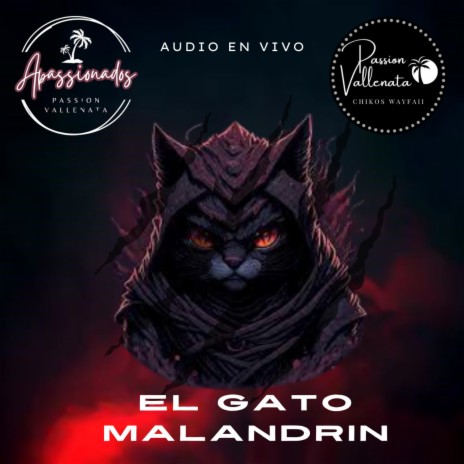 EL GATO MALANDRIN (PASSION VALLENATA EN VIVO) (En vivo) | Boomplay Music