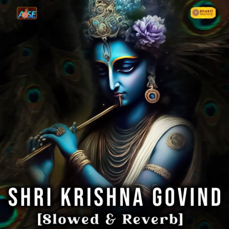 Shri Krishna Govind Slowed & Reverb | Boomplay Music