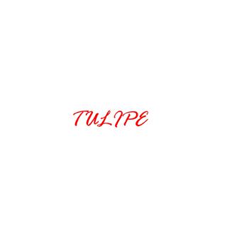 TULIPE