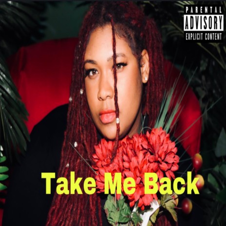 Take Me Back | Boomplay Music