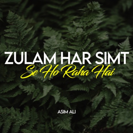 Zulam Har Simt Se Ho Raha Hai | Boomplay Music