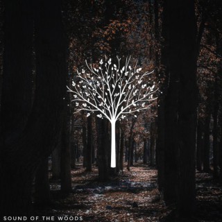 SOUND OF THE WOODS