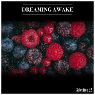 Dreaming Awake Selection 22