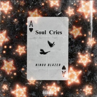 Soul Cries lyrics | Boomplay Music