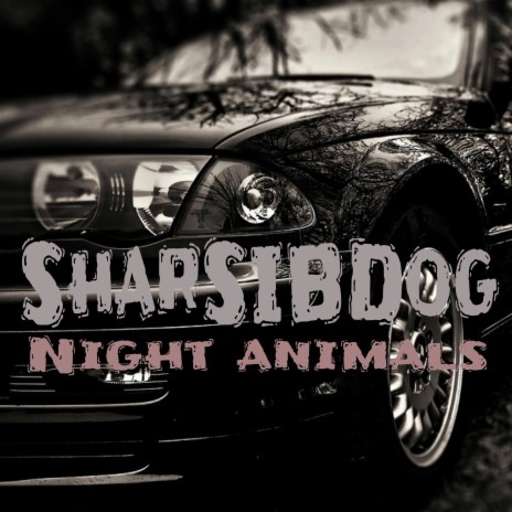 Night Animals | Boomplay Music
