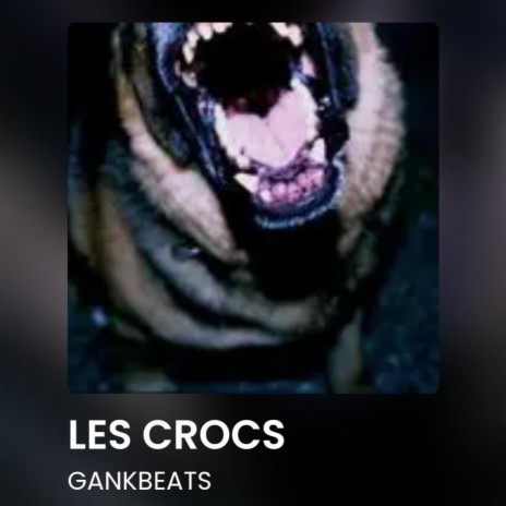 Les Crocs | Boomplay Music