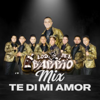 Mix te di mi amor