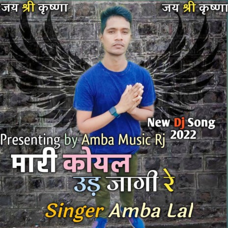 मारी कोयल उड़ जागी रे (Radio Edit) | Boomplay Music