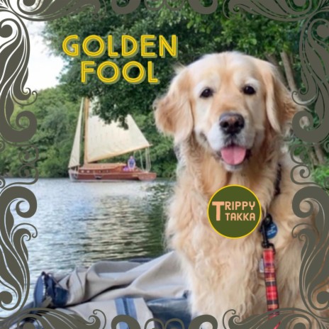 Golden Fool | Boomplay Music