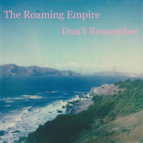 Don't Remember | Boomplay Music