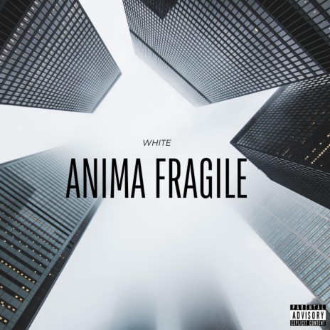 Anima Fragile | Boomplay Music