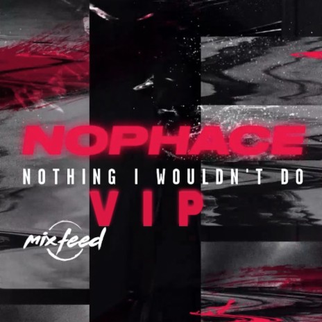 Nothing I Wouldn't Do VIP | Boomplay Music