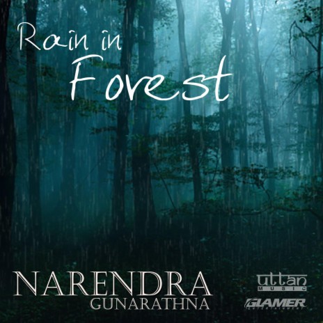 Rain in Forest | Boomplay Music