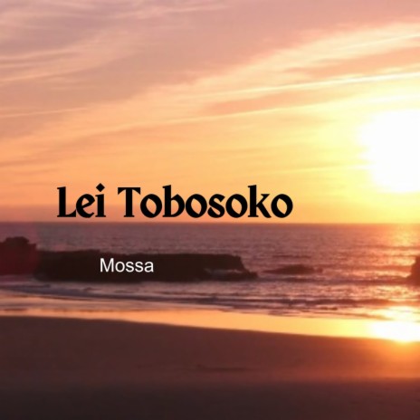 Lei Tobosoko | Boomplay Music