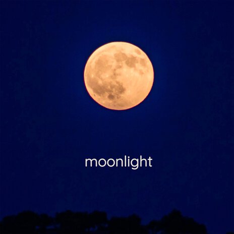 Moonlight | Boomplay Music