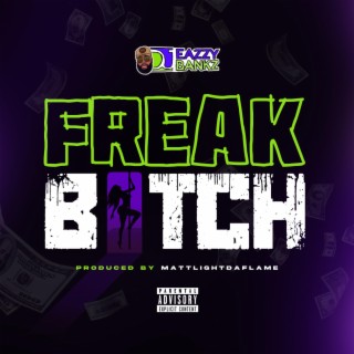 Freak Bitch (Freestyle) (Matt Light Daflame Remix)