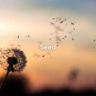 Seed