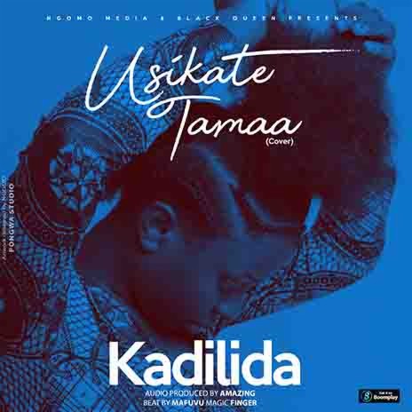 Kadilida - USIKATE TAMAA | Boomplay Music