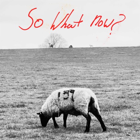 so what now? | Boomplay Music