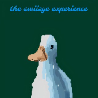 The Swiizye Experience