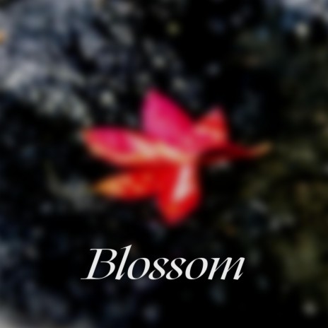 Blossom | Boomplay Music