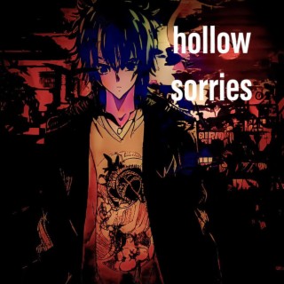 Hollow sorries