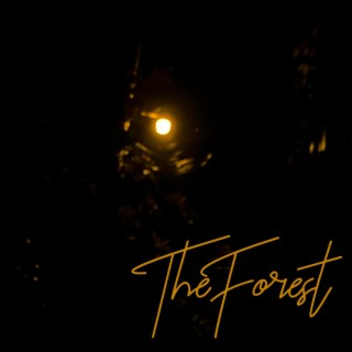 The Forest (Single Version) lyrics | Boomplay Music