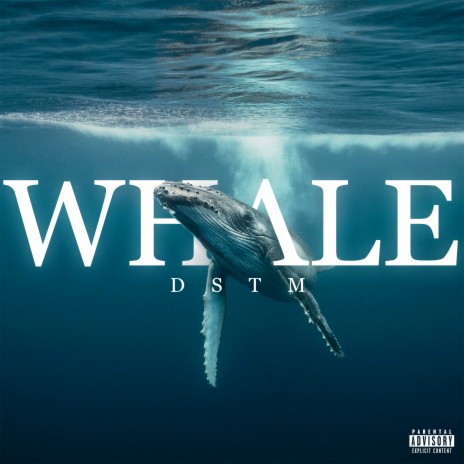 Whale | Boomplay Music