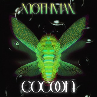 Cocoon