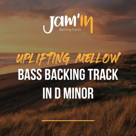 Uplifting Mellow Bass Backing Track in D Minor | Boomplay Music