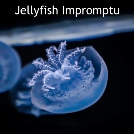 Jellyfish Impromptu | Boomplay Music