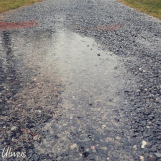 Puddle Portals