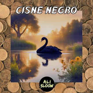 Cisne Negro