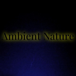 Ambient Nature