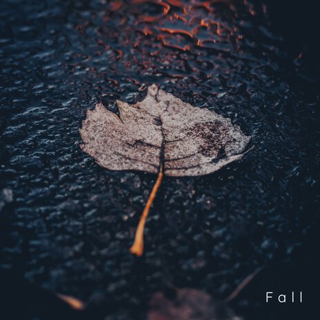 Fall