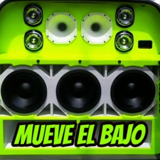 Mueve El Bajo (Car Audio)
