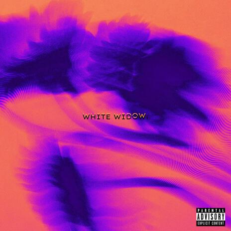 WHITE WIDOW | Boomplay Music