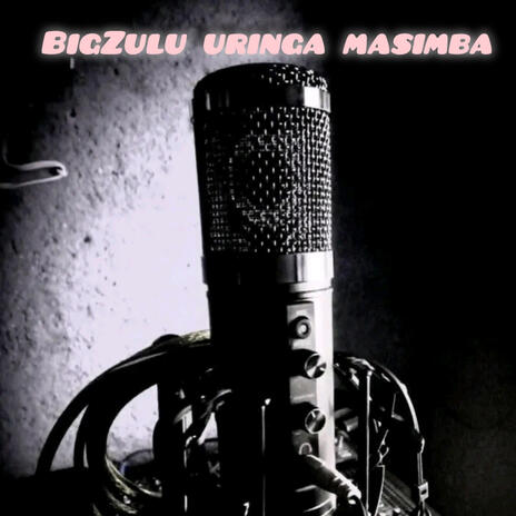 Zulu ringa masimba | Boomplay Music